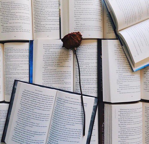 DailyBoho's tweet photo. Reading eases the mind and sends you to another world. https://t.co/82XlGuiIHP