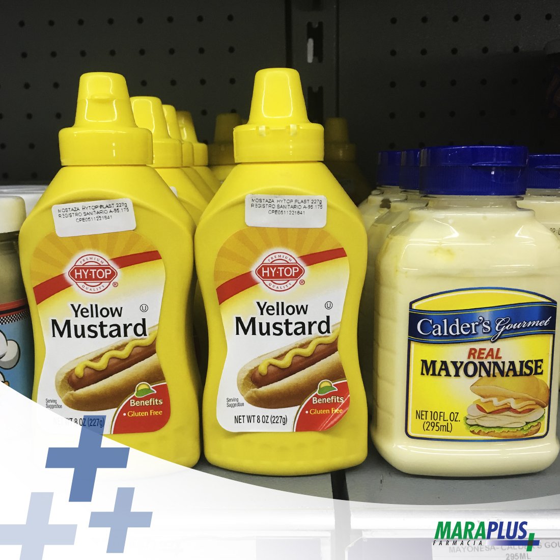 SomosMaraPlus's tweet photo. Mayonesa o mostaza... ¿Con cual prefieres acompañar tu sándwich de desayuno?
#Maraplus #Maracaibo https://t.co/oCvL0O38AS