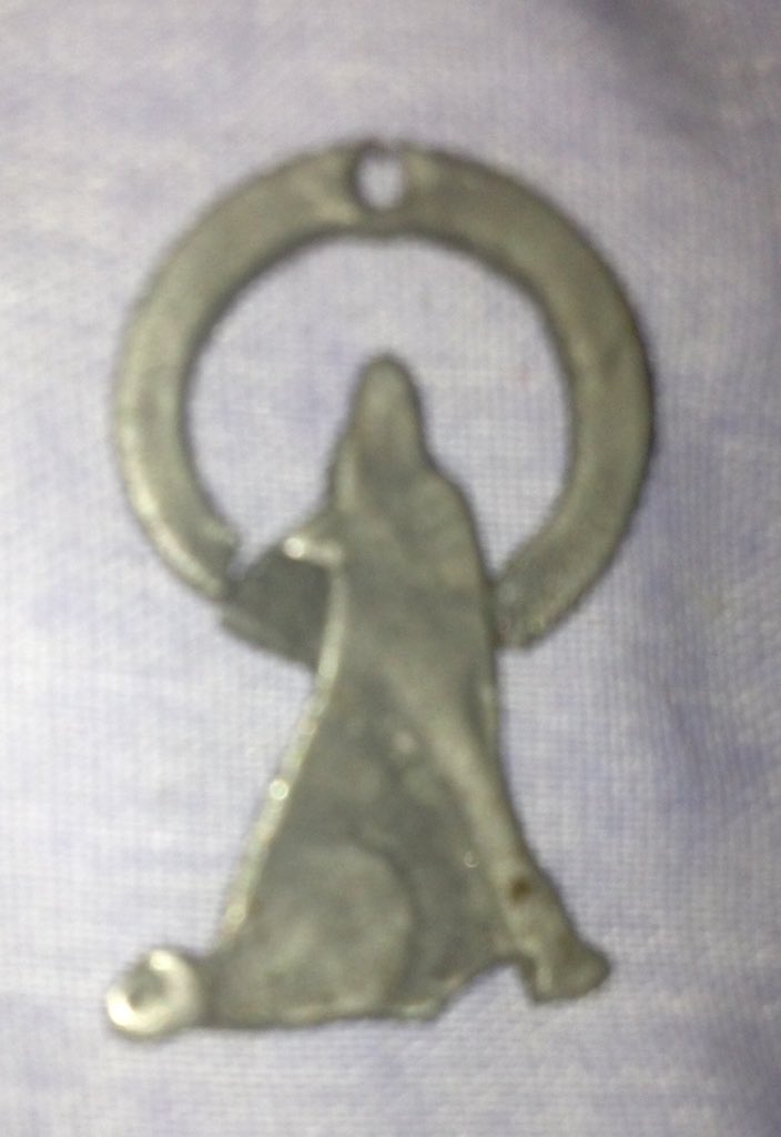 SilverwolfXP's tweet image. #septiccomments despite everything, I'm still fighting!, want to give me some backup?.