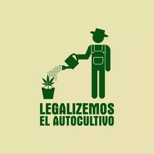 notiweedUIO's tweet photo. @CannabicoEc @eluniversocom @elcomerciocom #MANANA TODOS AL ARBOLITO #MMM2016UIO TODOS POR LA REGULACION https://t.co/CZprGdEuNM