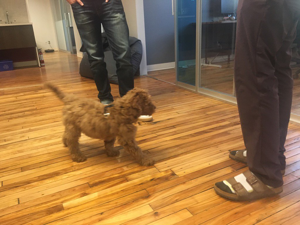 Found Sounds tweet media