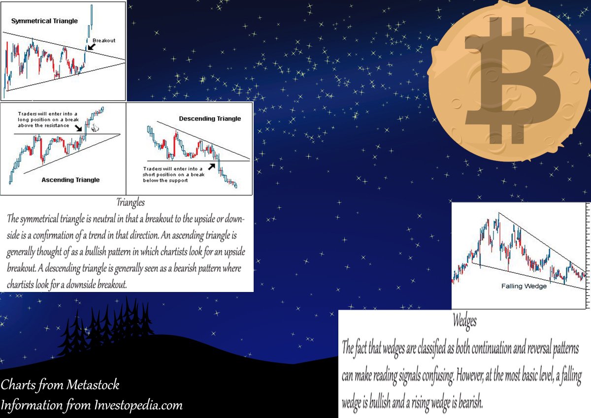 Edgar Allen Purr tweet media