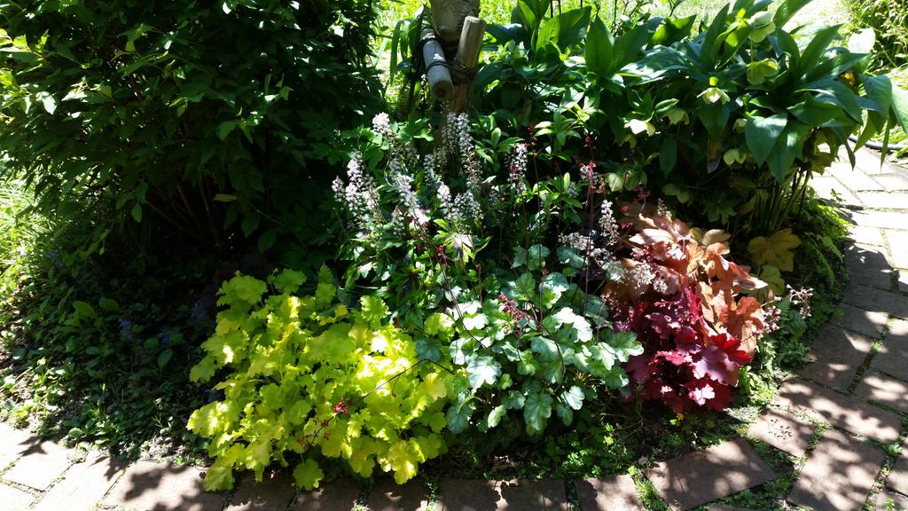 ゴールデンウィークいかがお過ごしでしょうか？今年は、教室もカレンダー通りお休みです。お休みを使って、庭の手入れをしています。