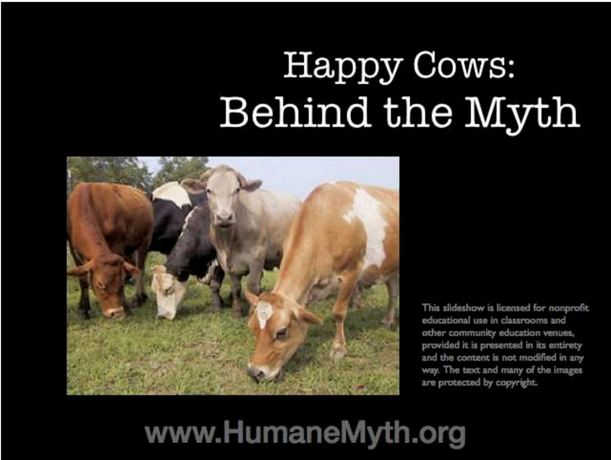 mercy4cows's tweet photo. Old MacDonald’s Happy Farm? Cows NOT happy anymore! #MercyForCows #39canimals #FreeFarmCows https://t.co/wwT2LuFPCJ https://t.co/OrmP0YjcoD