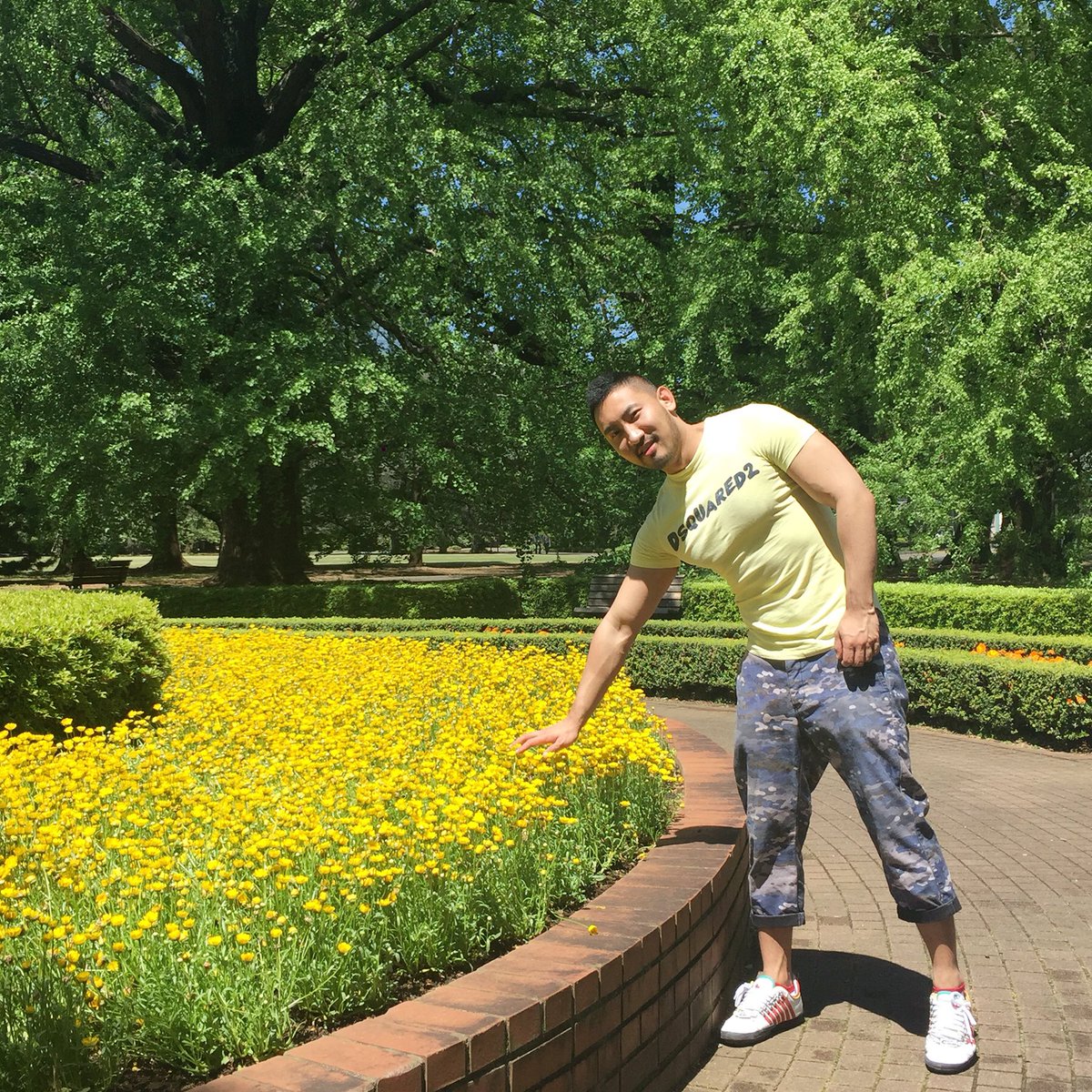RionSRKM's tweet photo. 緑の日 https://t.co/AAWE6xDf0o