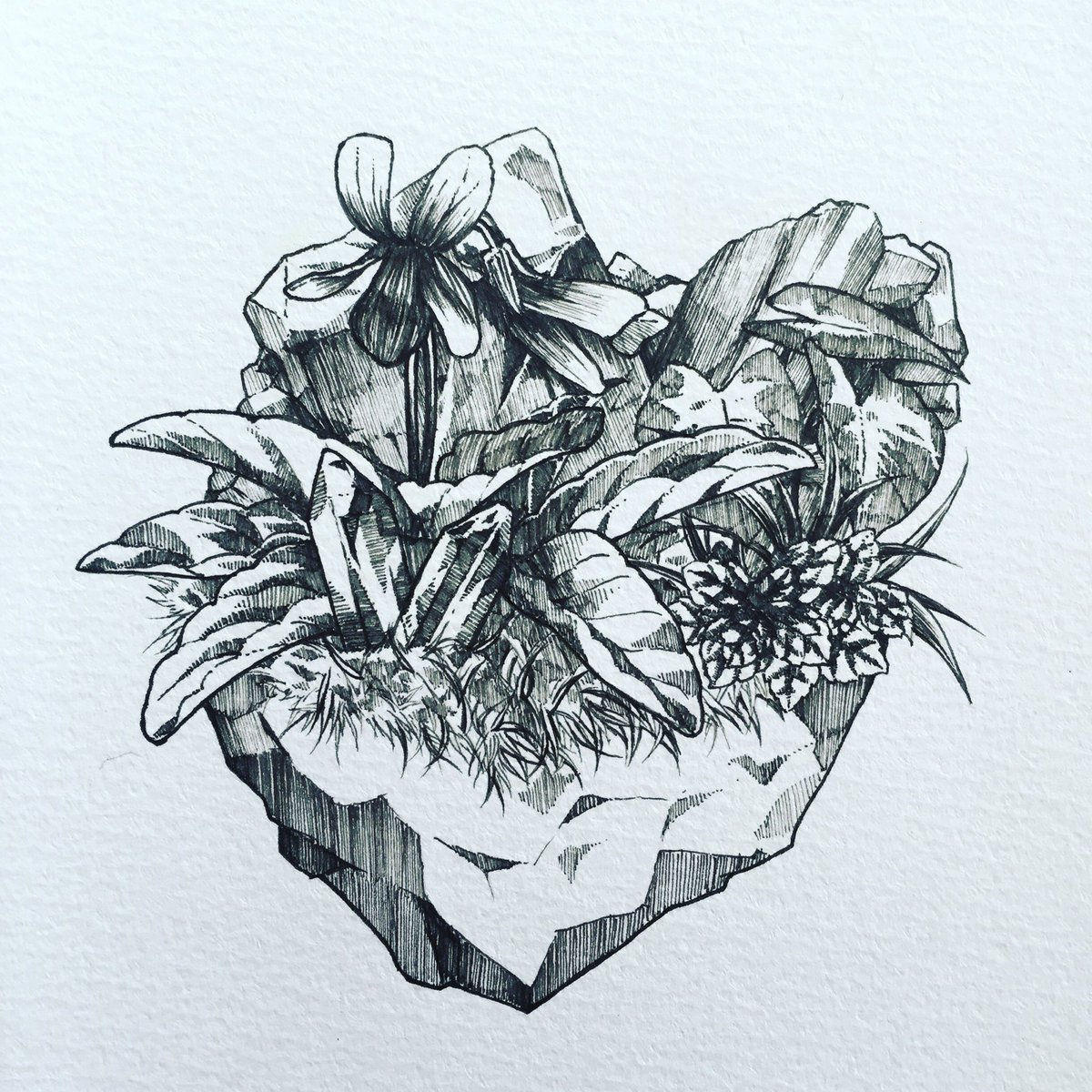 ジンボアユミ ペン画は描くのも見るのも好きなので便乗 ｖ 植物と鉱物と骨が好きです ペン画を流してペン画民を増やそう