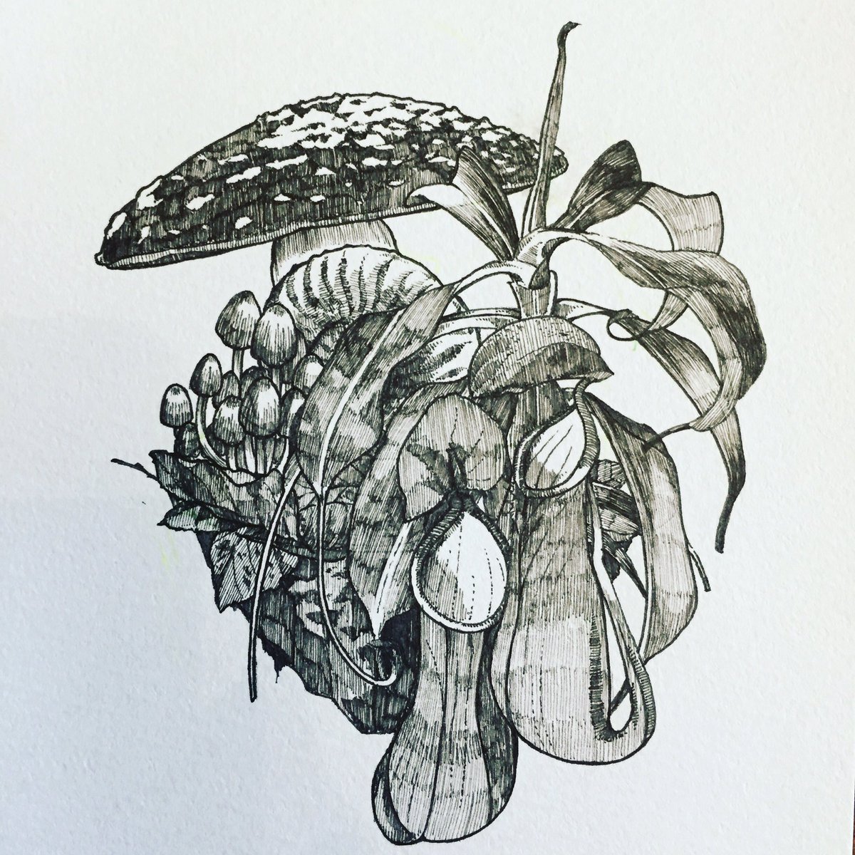 ジンボアユミ ペン画は描くのも見るのも好きなので便乗 ｖ 植物と鉱物と骨が好きです ペン画を流してペン画民を増やそう