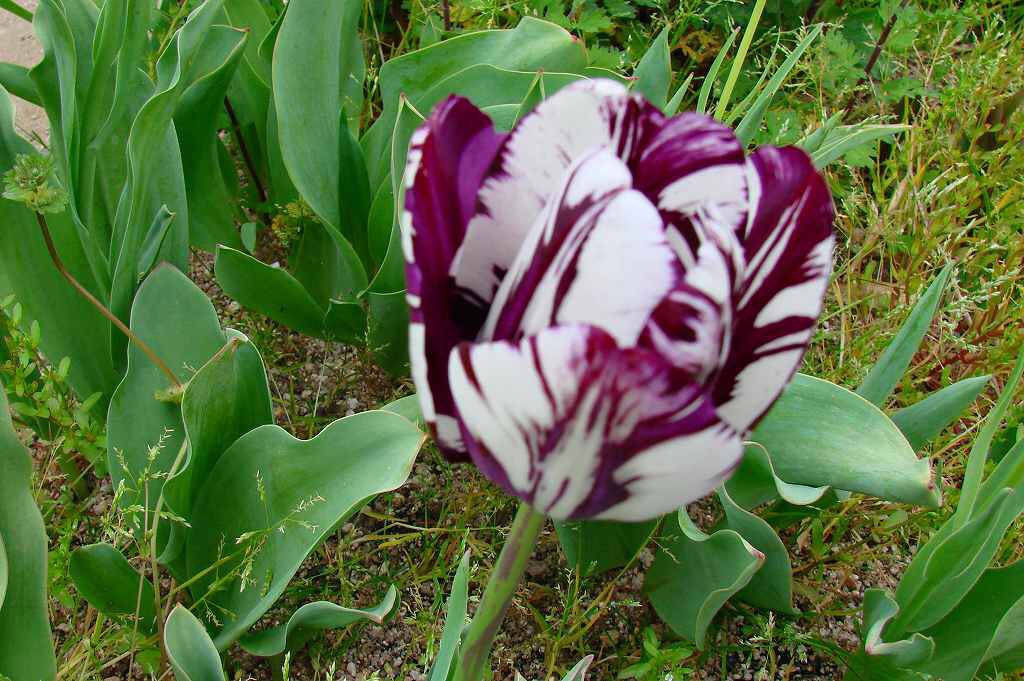 <a href="/Twdfan45/">done gone</a> <a href="/hory1971/">↪ #EADT779 ↩ #SUPREM</a> <a href="/daggerex_/">Darren Gibbons #TFBJP</a> @IamJenniferPT <a href="/teotl6/">Teotl</a> @ELITE_LEGENDZ_ @CristinPereyra <a href="/eoff_sylvia/">Sylvia</a> <a href="/Tio_K/">tio-</a>