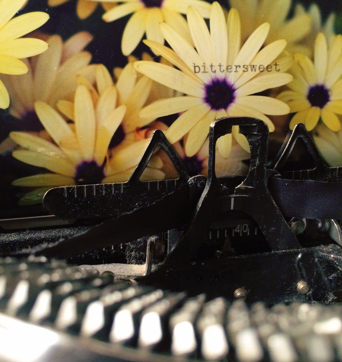 typewreck's tweet image. Bittersweet #typeart #typewriter #nikon