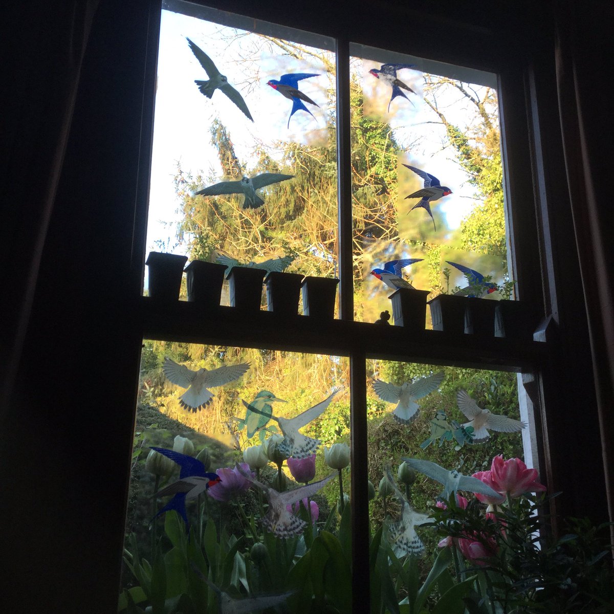 Farmhousetree's tweet photo. It's that time of the year again when Good Lady fills every sash window with seed pots and I always knock one over! https://t.co/LXugBIu8Et