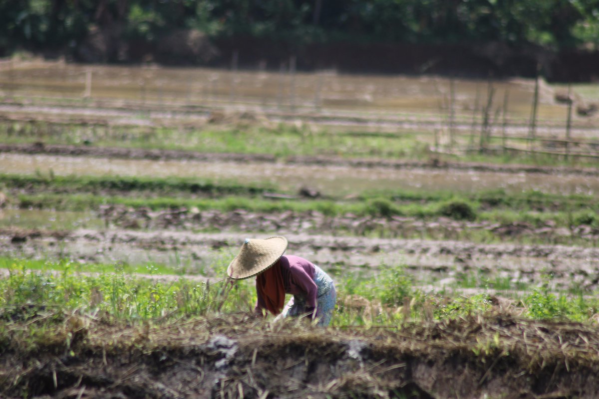 danyonat's tweet photo. #KPI7 #Pesonaindonesia #wonderfulindonesia #PhotographycontestKPI7 #UrbansDocumentaryWithKPI7 https://t.co/y5osQ7t6Kw