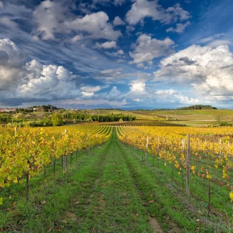 Portugal Wine Trophy entre 5 e 8 de Maio na Bairrada. drinksdiary.com/bairrada-receb…