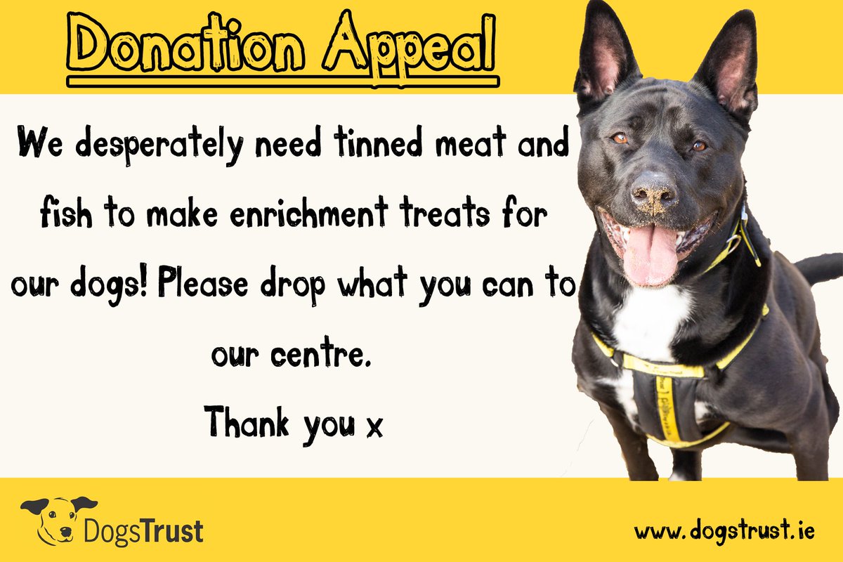 DogsTrust_IE tweet picture