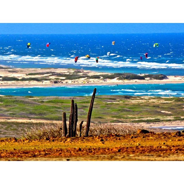 RelaxInAruba's tweet photo. aruba: #Aruba considered 1 of d top Kite surfing spots in the Caribbean
https://t.co/dIg1CoF2vK elzorrocr #onehap… https://t.co/msLJKvJO0a