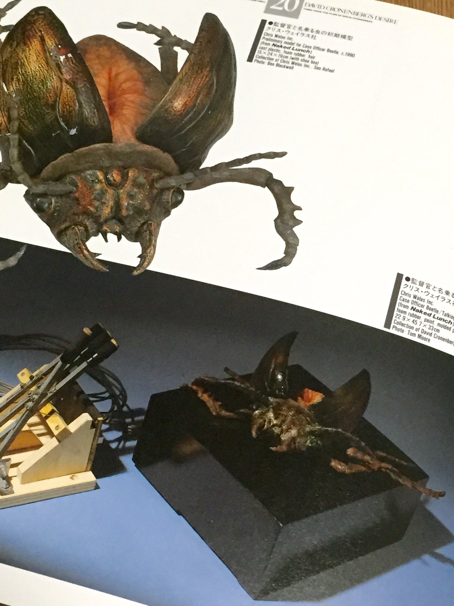 Amazon.co.jp: デヴィッド・クローネンバーグの世界