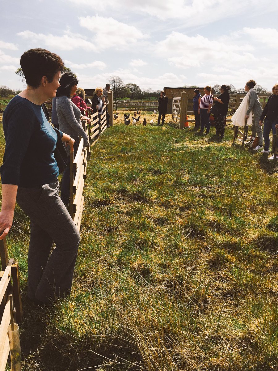 empsolneet's tweet photo. There's nothing like a bit of goat herding to build community 😂 @MyLife_CIC @CormacRussell #abcd @YCBLtd #hilarious https://t.co/DI4mEiRQuw