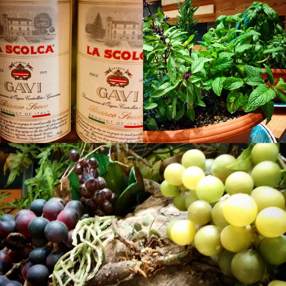 LaScolcaMyDream's tweet photo. Scent of #Italy at #PanBon - #LaScolca #MyDream #ontour #USA https://t.co/0odmqsj3hd