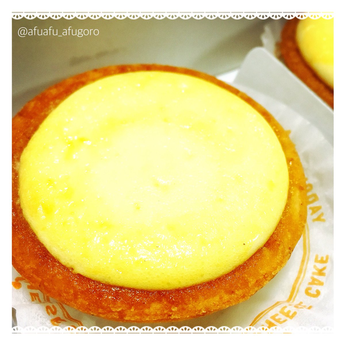 ヤドカリチーズケーキ ヤドカリチーズケーキ