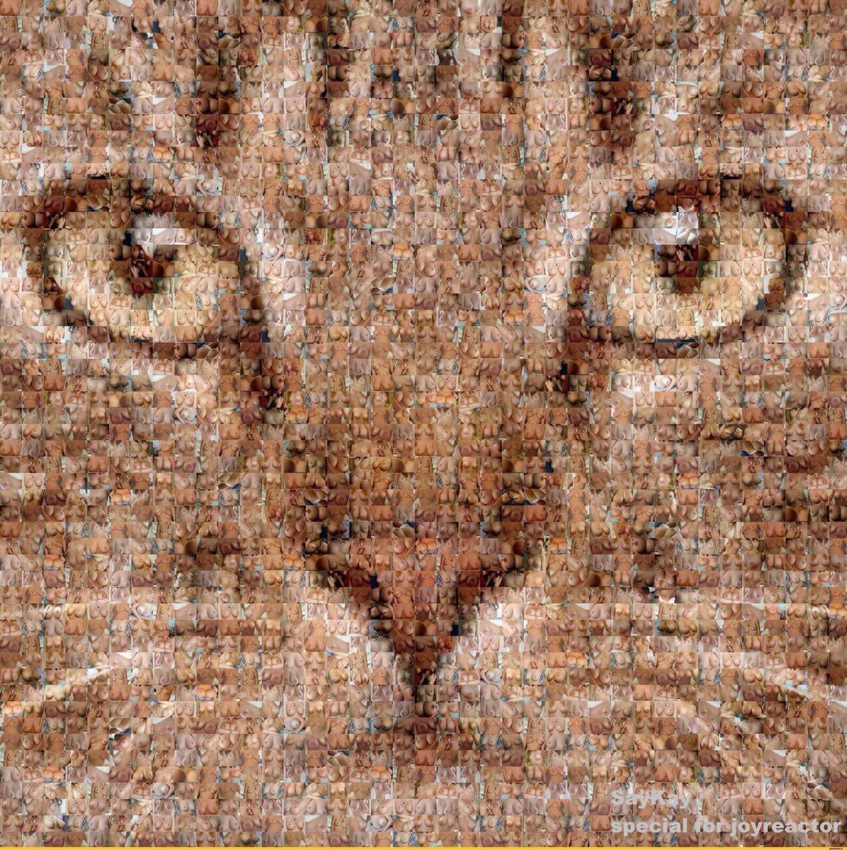 sisiur's tweet photo. @dmandreev из некоторых текстур можно даже котика нарисовать :-) https://t.co/kIrs7257Mi