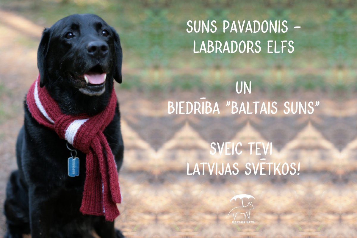 «BALTAIS SUNS» (@sunspavadonis) on Twitter photo 