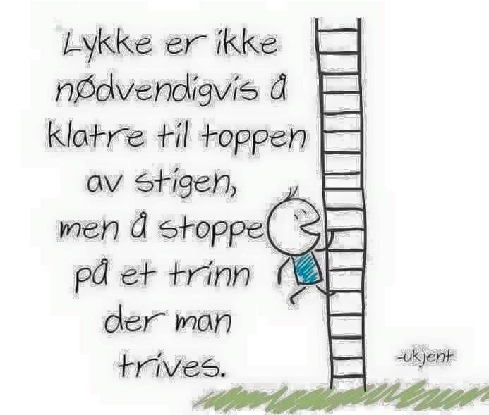 InfoRoute63's tweet image. Happiness isn't necessarily to climb to the top, but rather stopping where you're comfortable