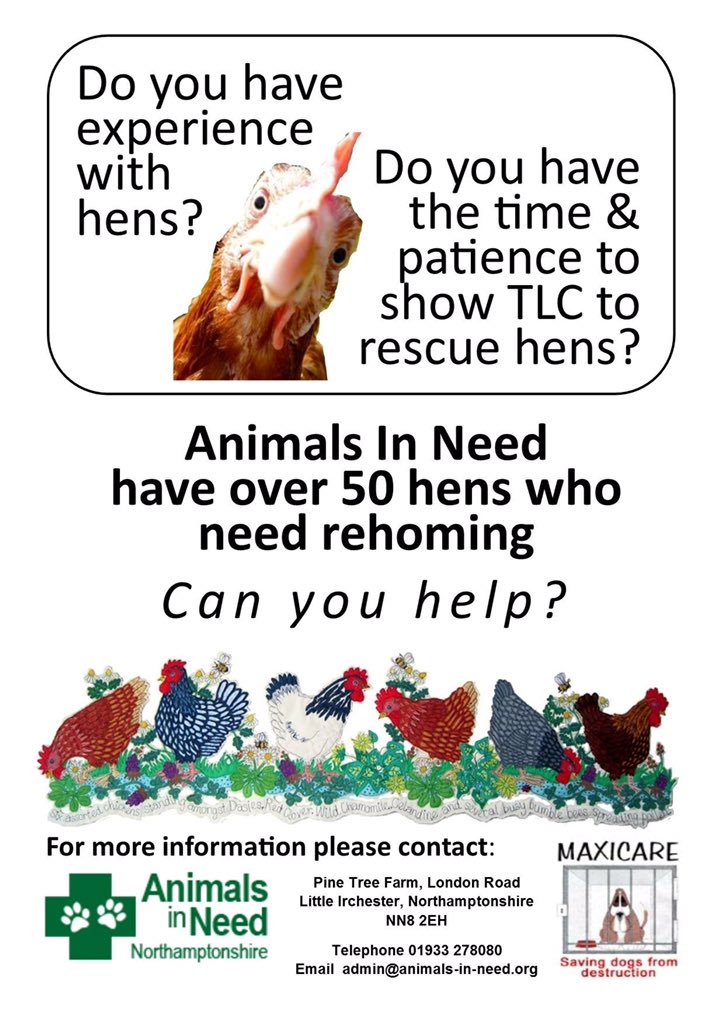 AnimalsInNeedUK's tweet photo. https://t.co/cKRVNyZNVm