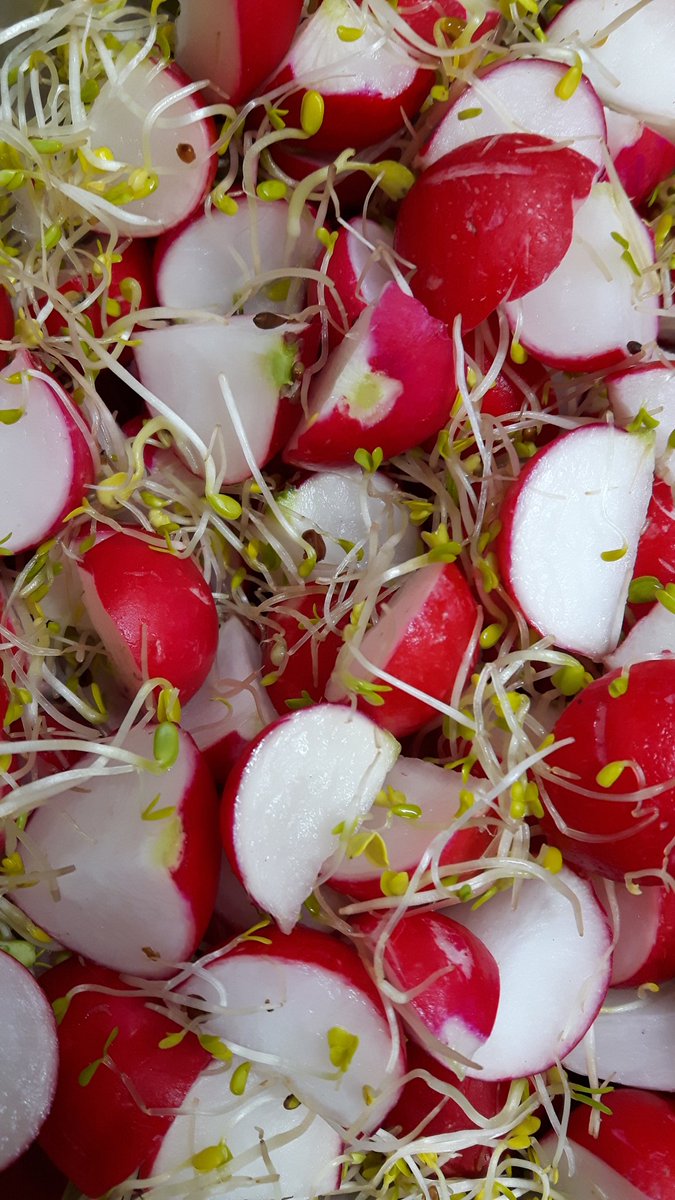 NicoleAtWorkFM's tweet photo. United Colours of Salads ❤💛💚 https://t.co/lr8uM49xiq