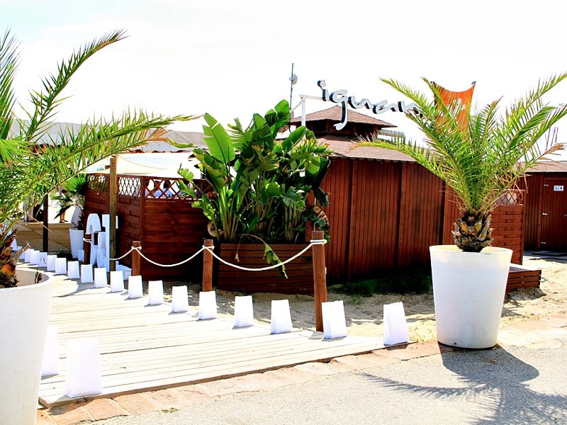 Team AUrun tweet media