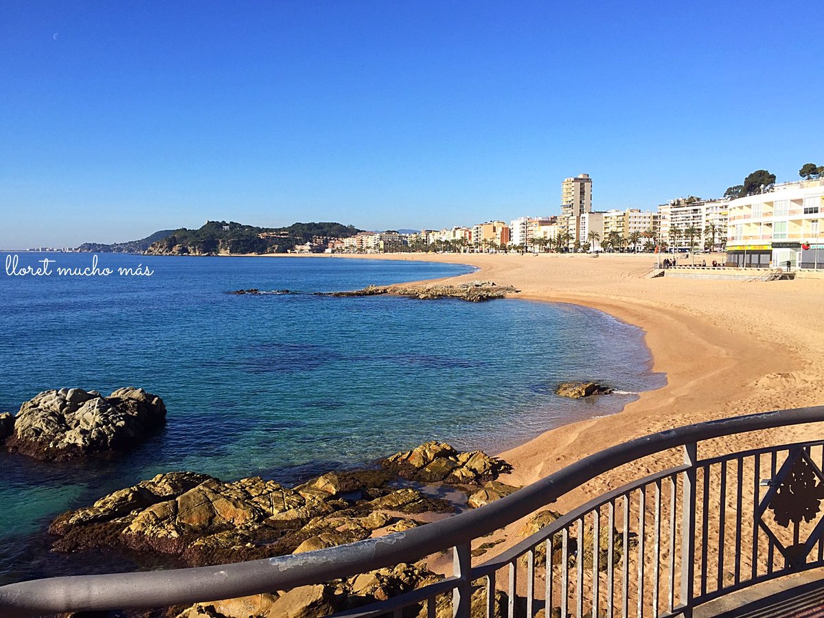 lloretmuchomas's tweet photo. Día espectacular en #Lloret, ni una nube en el cielo!🌞🐚 https://t.co/3EfciaToXv