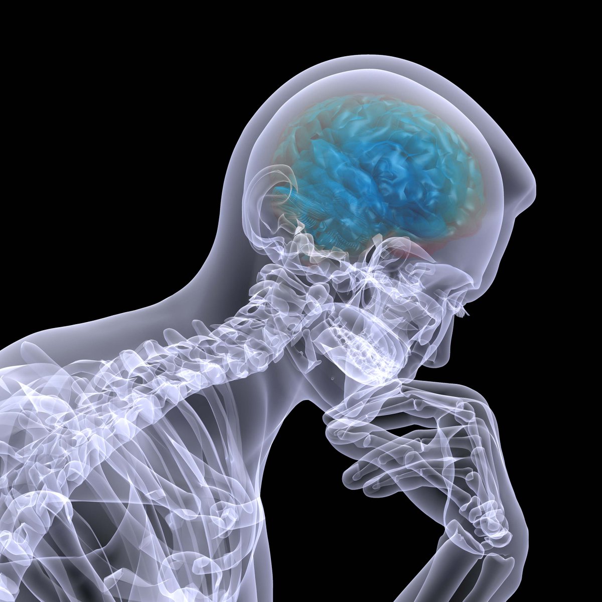 CentroPreventia's tweet photo. Psicobilogía en clínica Preventia, ¡Informaté!

https://t.co/B6qMlSQ3m9

#Psicobiología #SaludMental #MenteSana https://t.co/DqywI5rdjd