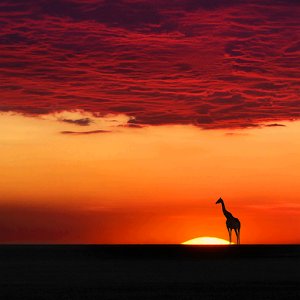 Ya tenemos App!
Buscar "Imagenes bonitas hd" en la Play Store.
Si nos votáis con 5⭐ nos hacéis un favor enorme!