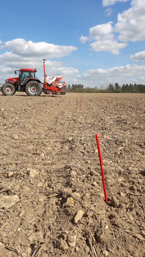 bird8945's tweet photo. #maรฏs hier semis essai comportement des variรฉtรฉs * irrigation conduite restrictive pilotage #Netirrig outil CA45 https://t.co/3y8wVR7W4V