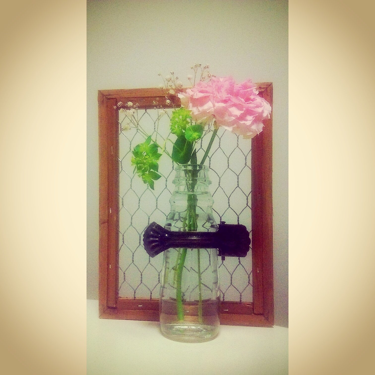 Juri V Twitter 100均の網 カーテンクリップ 豆板醤の空き瓶 壁掛け花瓶 福岡 Diy 花 花瓶の花 100円均一 Flowers T Co A69rh94bxr Twitter