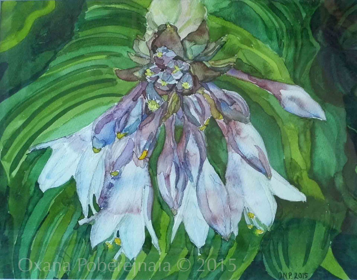 Todmorden TIC (@todtic) on Twitter photo <a href="/PoeticOxana/">Oxana Poberejnaia</a>: See this #watercolour among others <a href="/TodTIC/">Todmorden TIC</a> in #Todmorden until end of May <a href="/hebdenlist/">Hebden Bridge List</a> <a href="/HebdenBrTimes/">Hebden Bridge Times</a> <a href="/PoeticOxana/">Oxana Poberejnaia</a>: See this #watercolour among others <a href="/TodTIC/">Todmorden TIC</a> in #Todmorden until end of May <a href="/hebdenlist/">Hebden Bridge List</a> <a href="/HebdenBrTimes/">Hebden Bridge Times</a>