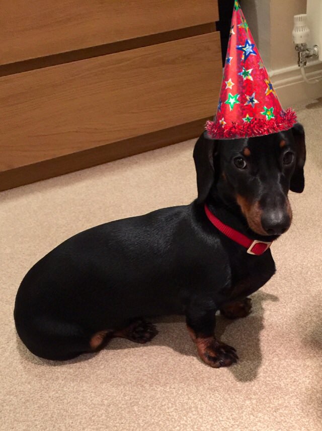 rach101chilvers's tweet photo. Happy birthday @GaryMason101 🎁🎈🎂🐾 xxx https://t.co/7qxbl41dsO