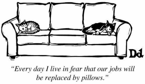 chiefplan1's tweet photo. #MyStrangestSecret is that my highly trained attack cats are worried they will someday be replaced by pillows.... https://t.co/200yYOnN8o