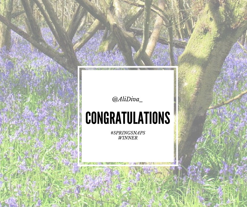 AgeUKSoton's tweet photo. The winner of the 2016 #springsnaps photo competition is.... @AliDiva_ CONGRATULATIONS :) https://t.co/Bu92CPrnmz