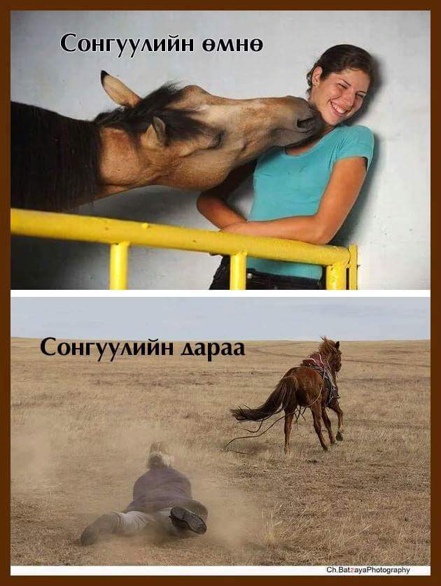 Бахдам (@tushin976) on Twitter photo 