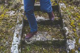 SecondaDMarz's tweet photo. “Ho sceso, dandoti il braccio, almeno un milione di scale...” Montale #FotoEParole @CasaLettori https://t.co/te5G9tiU0X