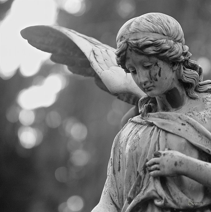 SecondaDMarz's tweet photo. Non t'accorgi, Diavolo che sei, che tu sei bella come un Angelo? G.Leopardi #FotoEParole @CasaLettori https://t.co/umlymu1csb