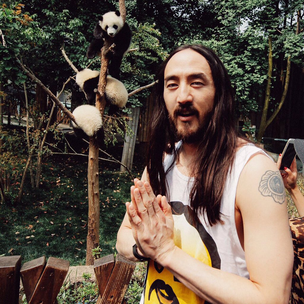 🐼🐼🐼 Only 1500 pandas left in the world & 80% of them are in chengdu China where here they breeding pop ⬆️. 🐼🐼🐼 https://t.co/K02UOKhUbH