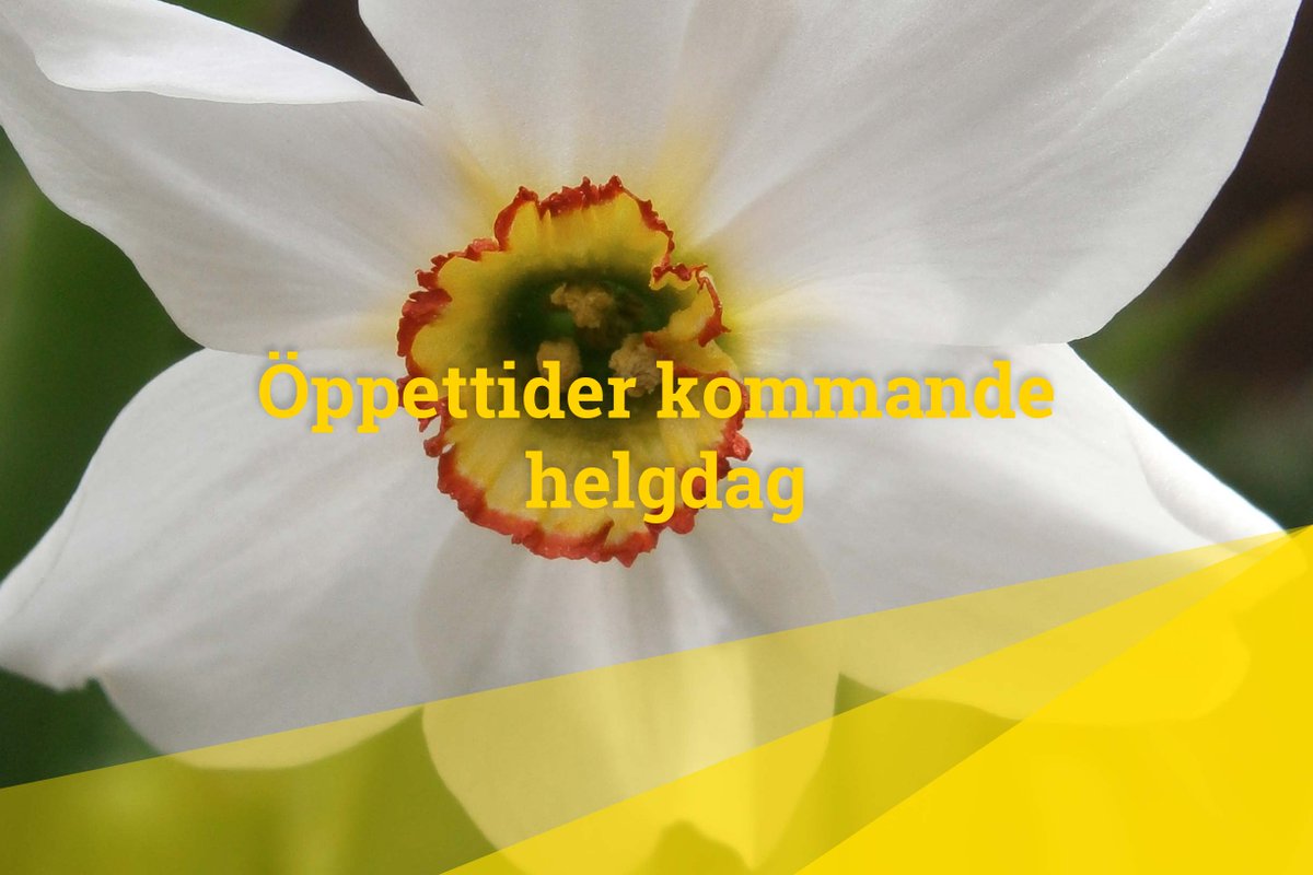 Idag stänger Nod 13:00, imorgon är huset stängt. Ordinarie öppettider återigen fredag 6/5.