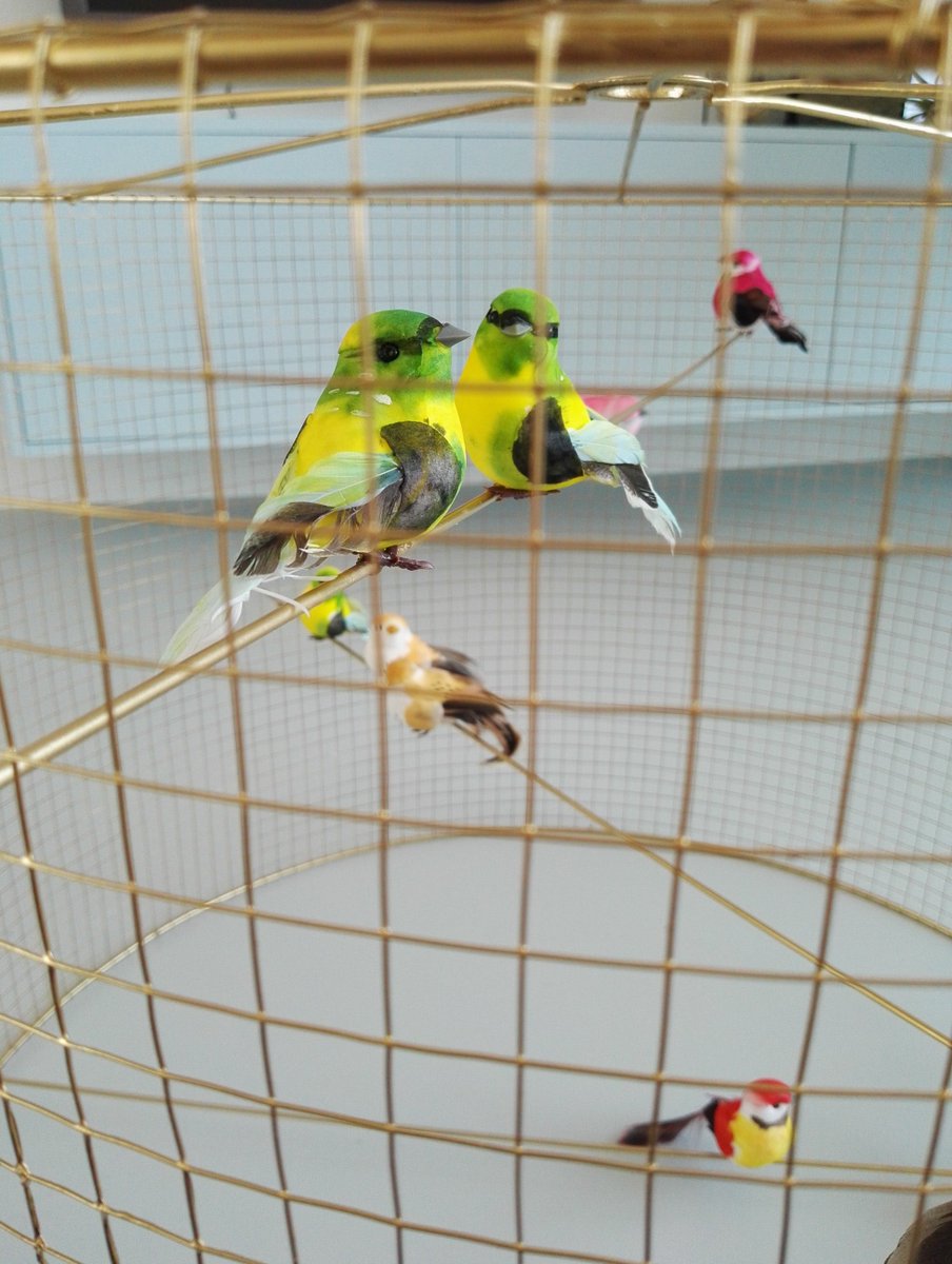 NyaInterieur's tweet photo. Haal buiten naar binnen met dit heerlijke weer https://t.co/V7J7uWdx2W @pure_original @fermLIVING #birdcage #spring https://t.co/4a0Hoj8yqH