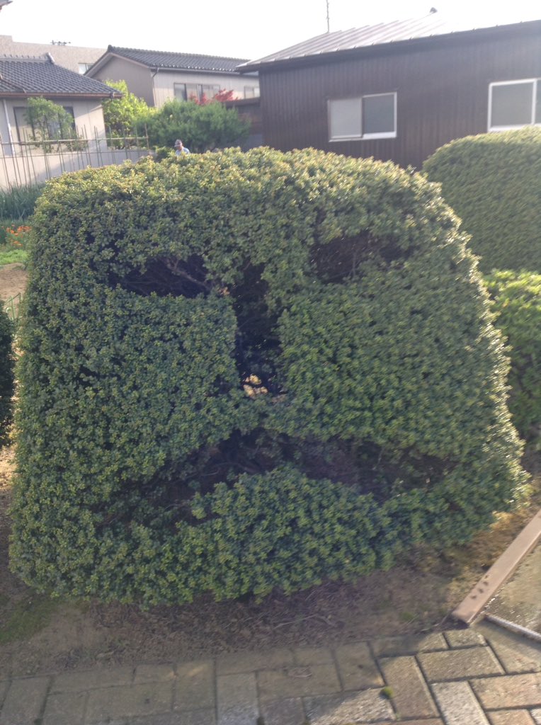 (けして) tweet media