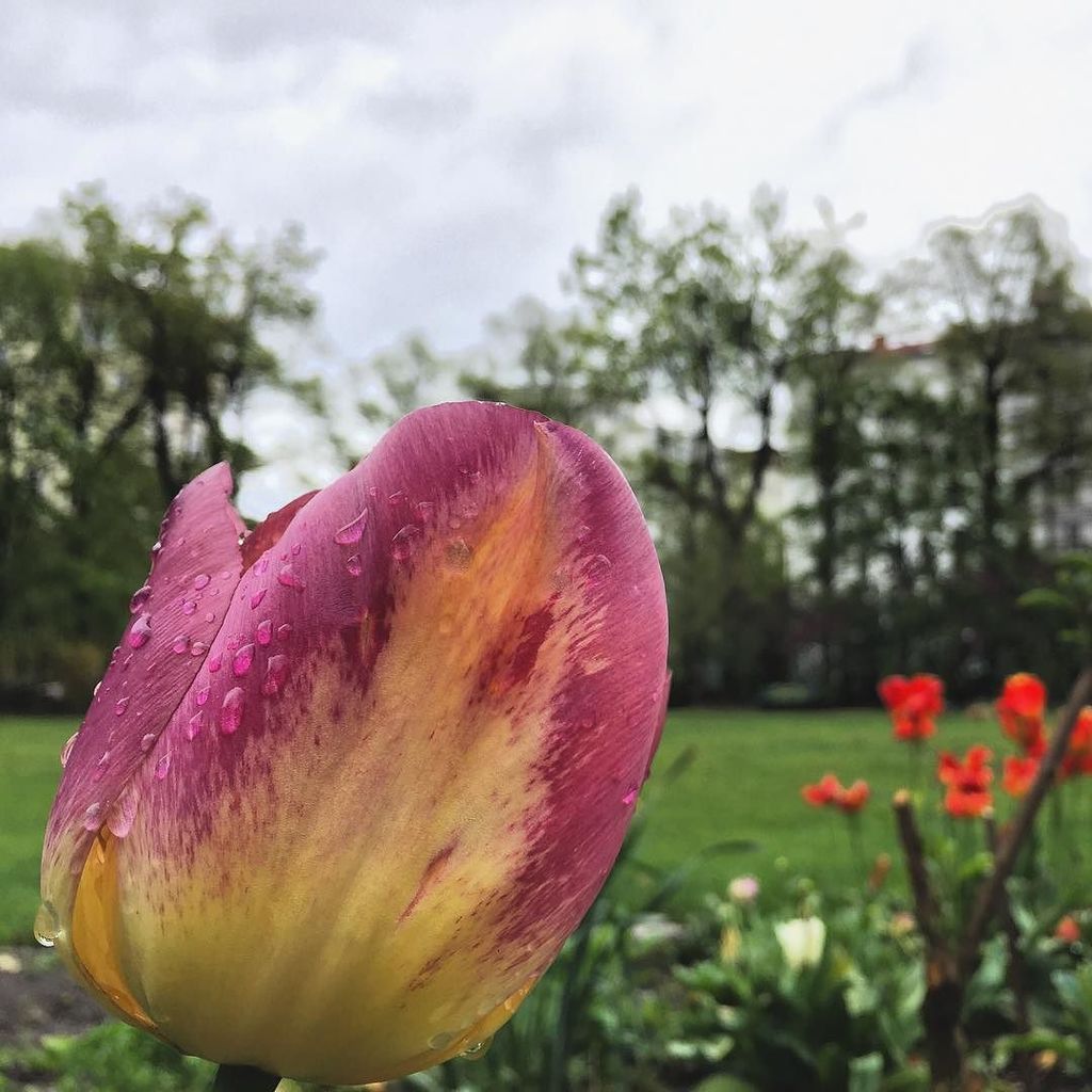 visityDE's tweet photo. Ganz egal wie das Wetter ist: Auf visity.de findest Du über 1.100 Ausflugsziele drinnen und draussen #visity https://t.co/qPeacKFoFm
