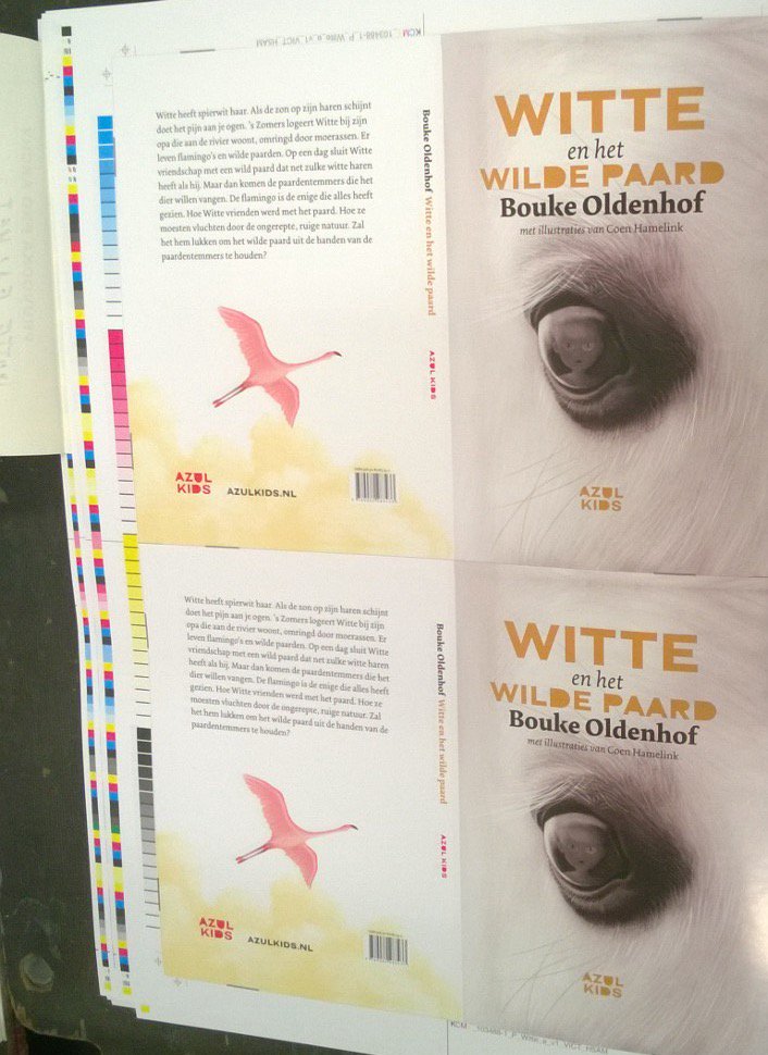 Azul Kids Boeken tweet media