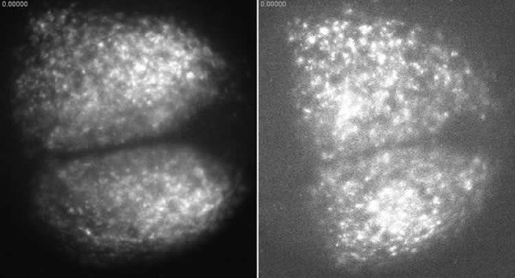 NeuroscienceNew tweet picture