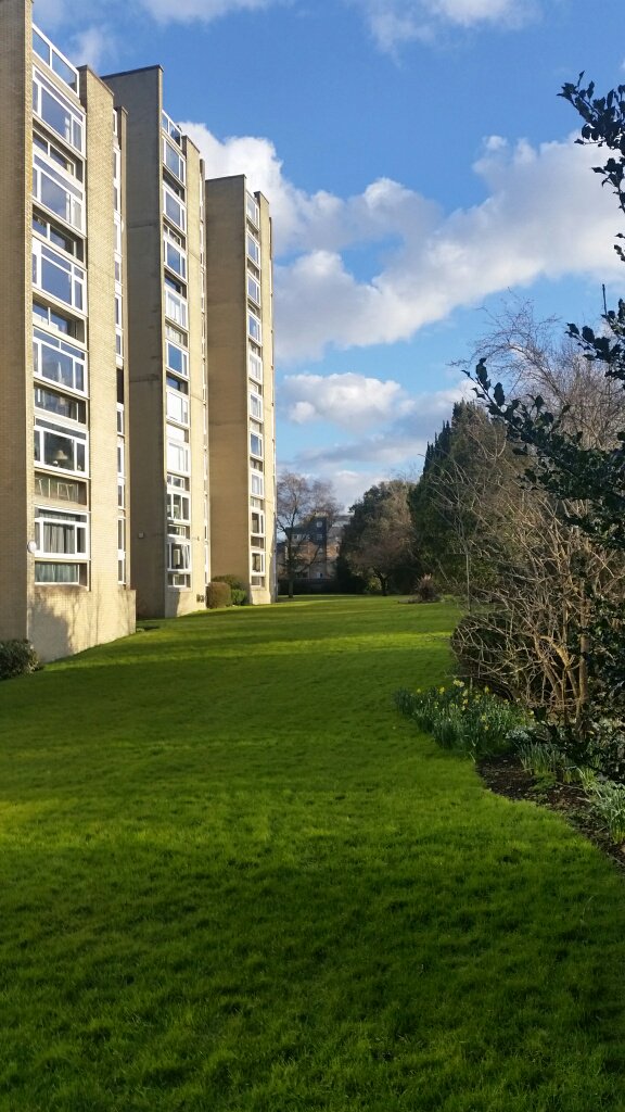 Nightingale Property tweet media