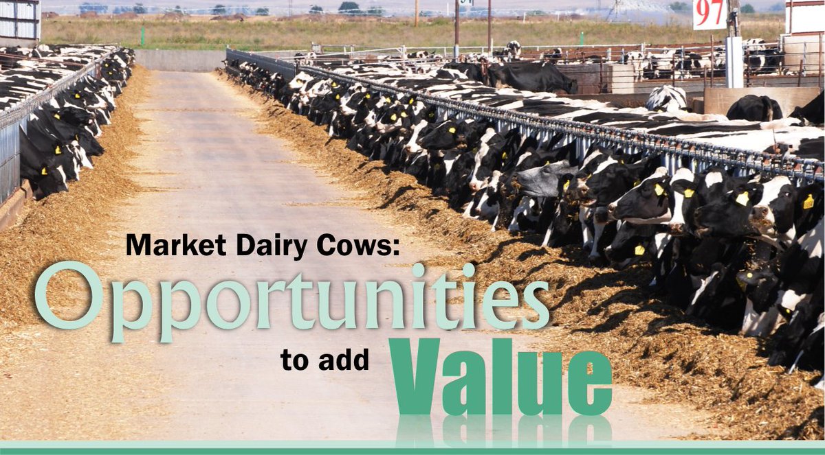 Colorado BQA tweet media