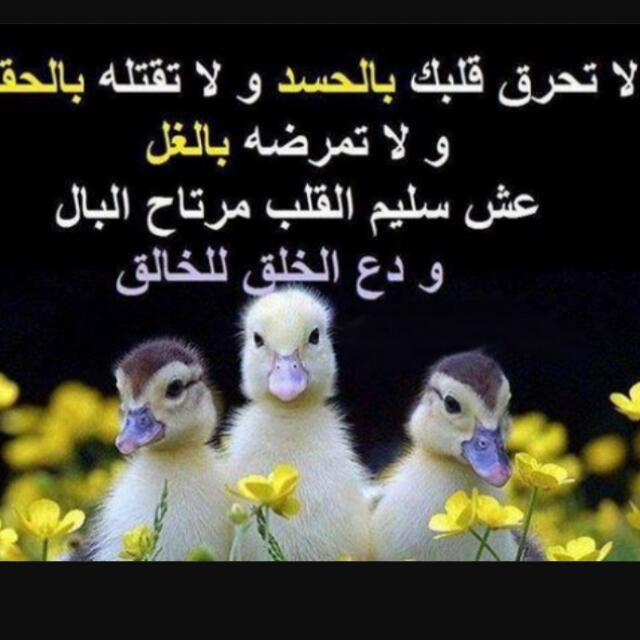 ue_jjs tweet picture